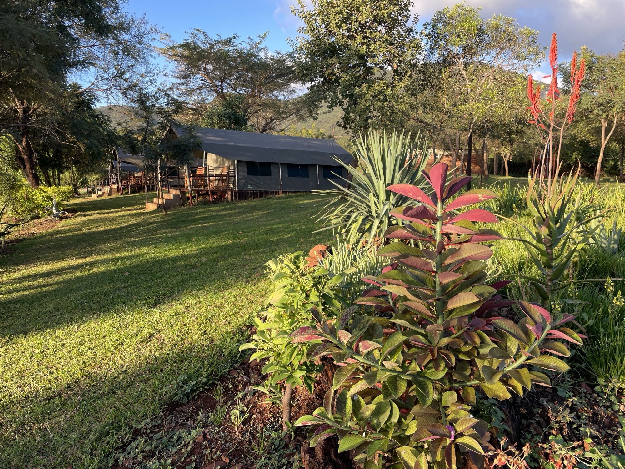 Gardens and lawns at Romelda